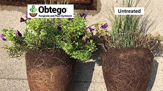 Obtego Fungicide and Plant Symbiont 5 lb