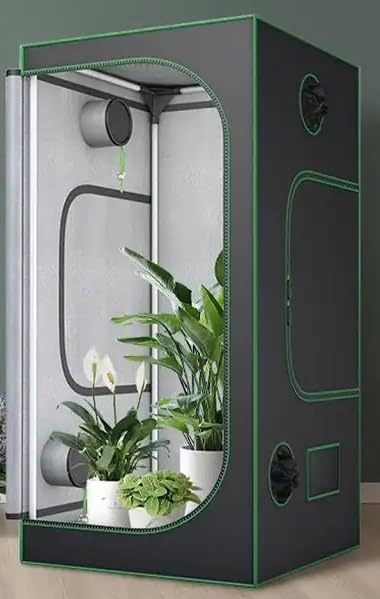 Indoor Grow Tent 32x32x63, Growing Tent with High Reflective Mylar, Observation Window, Plant Tent for Indoor Growing