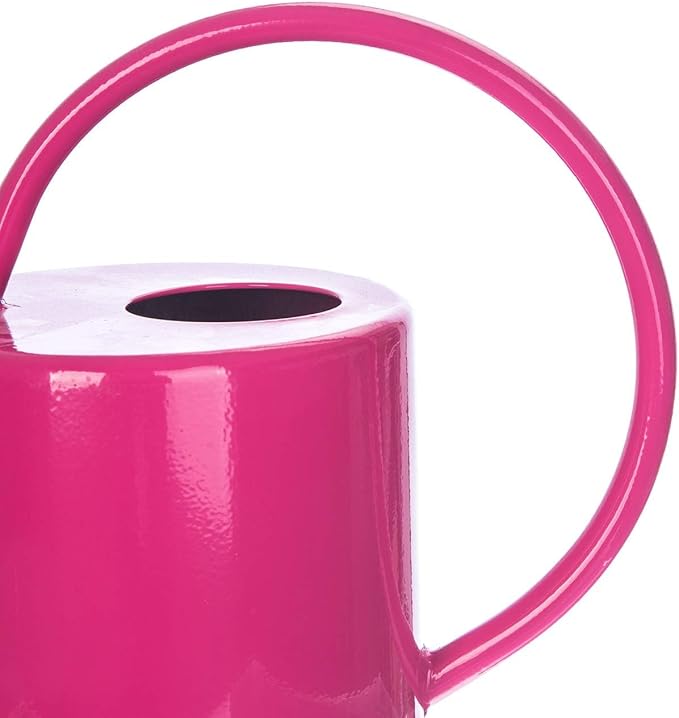 51 Ounce/1.5L Watering Can for Indoor and Outdoor Plants - Long Spout Water Can for Garden, Flower, House Plants, Decorative Watering Can(Rose)