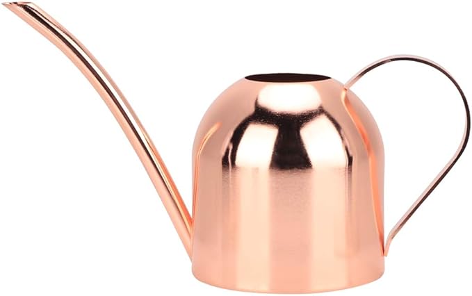 Watering Can, Stainless Steel Watering Pot with Long Spout Mini Houseplant Potted Plants Sprinkling Water Kettle for Indoor Outdoor Succulent Bonsai Garden Flower Gift Decoration 500ml(Rose Gold)