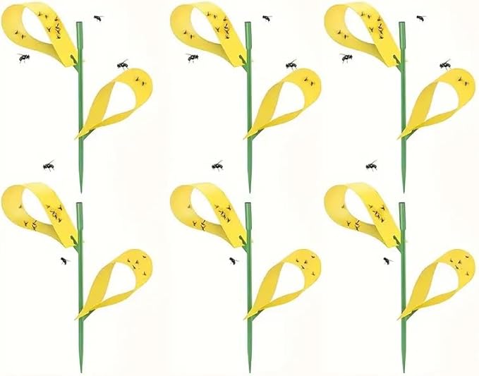 Generic Sticky Houseplant Traps Stakes Yellow, Sticky Traps for Fruit Flies, Fungus Gnats, Bugs, Indoor/Outdoor Use