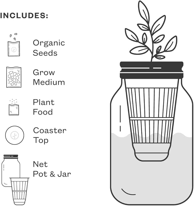 Modern Sprout Mason Garden Jar - Self-Watering Hydroponics Growing System Kit w/Organic Herb Seeds - Sprouting Jar Planter for Indoor Herb Garden - Seed Starter Kit - Decor & Gifting - Basil+Parsley