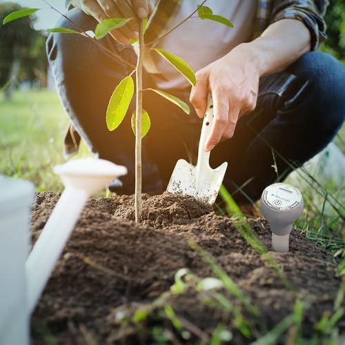 Blumat Moisture Meter for Plants - Accurate Soil Moisture Meter - Easy to Use Advanced Water Meter for Gardening (Moisture Meter Only)