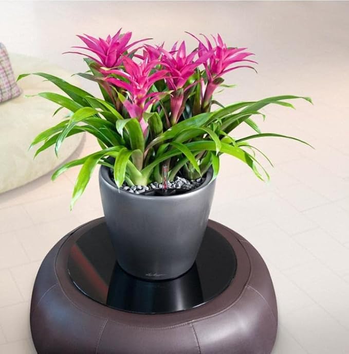 Lechuza Classico LS 28 Charcoal Metallic, Self-Watering Round Planter, D11 H10.2 in