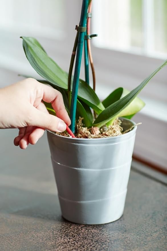 Miracle-Gro Orchid Plant Food Spikes, 2-Pack, 10 Spikes Per Pack