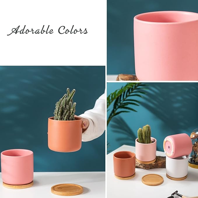 TAMAYKIM 4 Inch Ceramic Plant Pots with Drainage Holes & Tray, Adorable Small Cylinder Planter for Indoor Decor, Succulent, Snake Plants, Cactus & Herbs, Flowers, Set of 4 for Home Office Garden