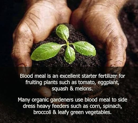 𝐁𝐄𝐒𝐓𝐒𝐄𝐋𝐋𝐄𝐑 Organic Blood Meal Fertilizer by Gardenera - 12-0-0 NPK - All-Natural Plant Food Source of Nitrogen for Organic Gardening, Flowers, Vegetables, Trees & Shrubs - 4 QUARTS