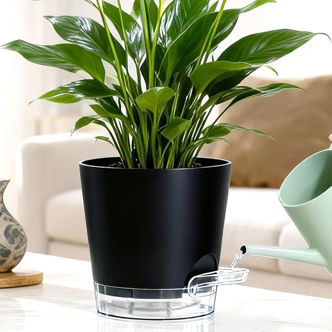Self Watering Pots for Plants, 2026 New Flower Plant Pots with Drainage Holes, Wicking and Clear Reservoirs for Succulent, Aloe, Cacti and Others - 6 Pack (Black, 6")