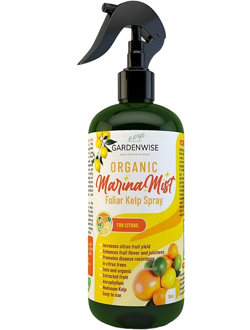 GARDENWISE Organic Marina Mist Foliar Kelp Spray for All Citrus and Fruiting Trees | Micro Nutrients for Vital Health | Gentle Formula | Liquid Plant Food | Quick Results (16 OZ)