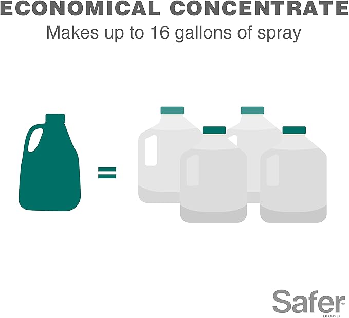 Safer Brand Neem Oil Concentrate - Insecticide, Miticide, Fungicide for Plants - Kills Insects and Mites, Controls Fungal Disease - OMRI Listed for Organic Use - 5182-6, 16 oz Bottle Concentrate
