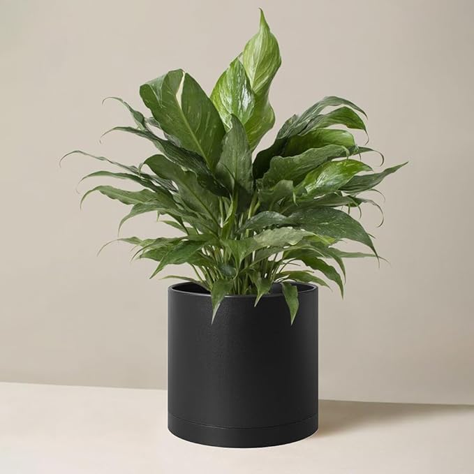 Giraffe Creation 12-Inch Round Cylinder Plant Pot, Modern Indoor/Outdoor Planter with Drainage Hole, Saucer & Water Reservoir, Black