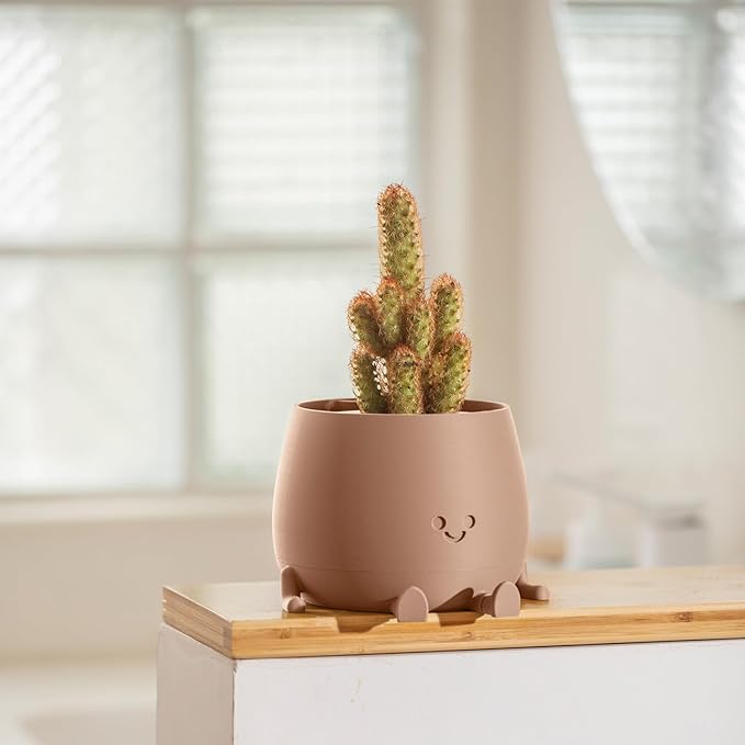 TOPOLA Happy Face Planter, 5.2 Inches Plastic Plant Pot, Self Watering Plant Pot with Drainage Holes for Indoor Outdoor, Succulent Pot, Funny Flower Pot, Khaki