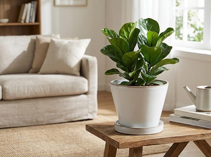 Glazed Ceramic Planter with Drainage Hole & Saucer for Indoor Tropical Plants, Reactive Glaze Plant Pot (White, 8")