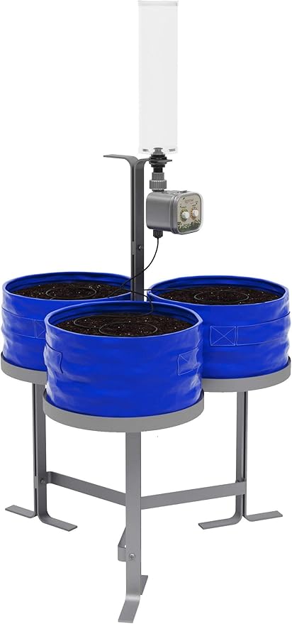Harmony Garden Herbs and Vegetables Grow kit - Blue