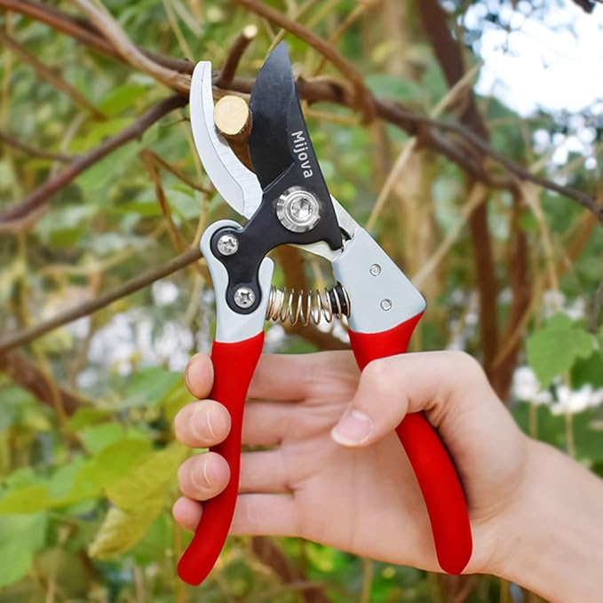 Garden Pruners, Heavy Duty Garden Clippers, Pruning Shears with Adjustable Thumb Lock, Hand Gardening Tools Pruners, High Carbon Steel Sharp Gardening Scissors (black)