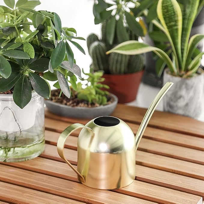 Stainless Steel Water Can for Indoor Plants and Garden (Gold 50 oz)