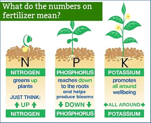 Gardenera 6-6-6 All Purpose Professional Garden Fertilizer - Provide Essential Nutrition for a Thriving Garden - 20 QUARTS