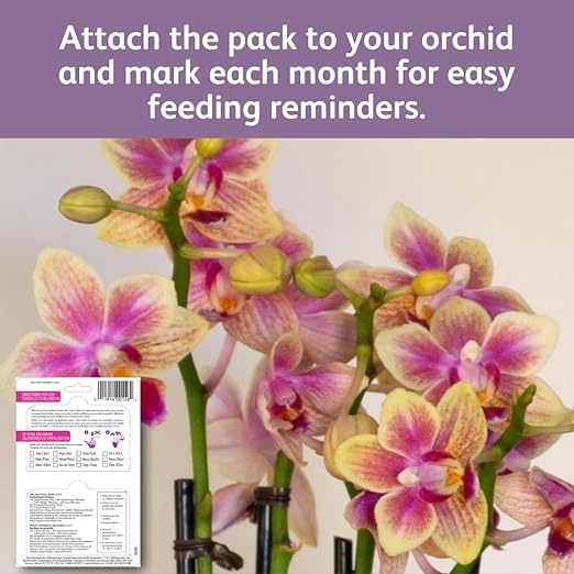 Chrysal Orchid Food Drops — Orchid Care — One Pack for a Year Supply — Concentrated Flower Food for All Species of Orchids — Ideal Florist Supplies — Outdoor and Indoor Plant Food (3 Pack)