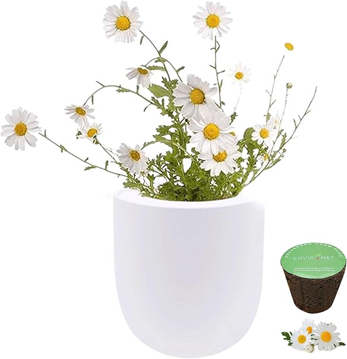 Hydroponic Growing Kit, Self-Watering Garden Starter Kit with White Ceramic Pot and Seeds, (Chamomile)
