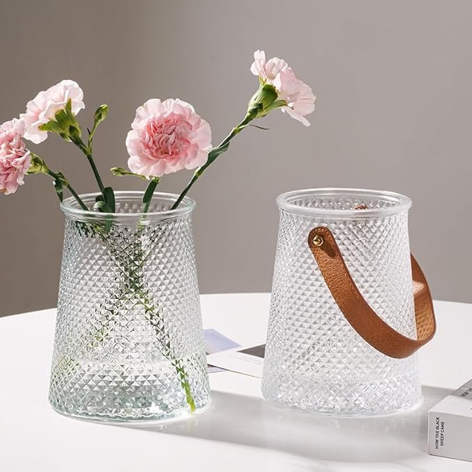 Self Watering Planters 5.9 Inch Self Watering Pots for Indoor Plants, African Violet Pots with Wick Rope, Flowers, Succulents, Herb, House Plants (Transparent Color)