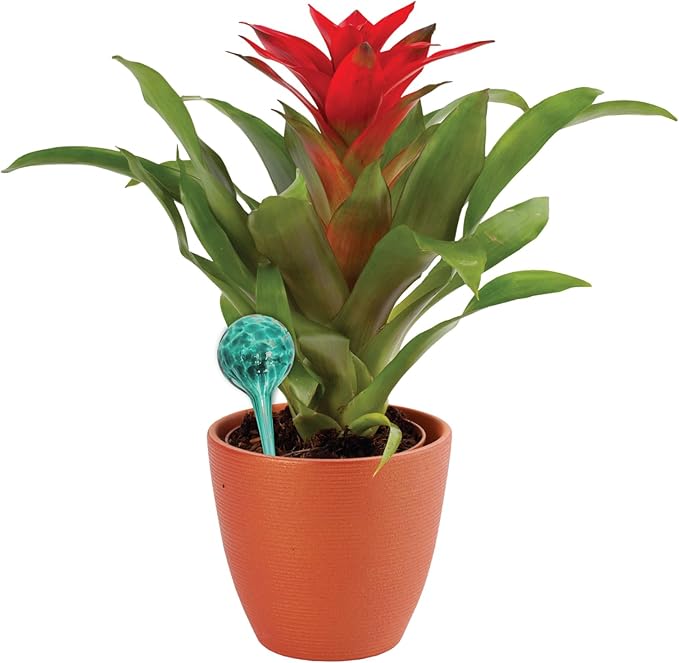 4-Piece Watering Globe Set, Colorful Hand-Blown Glass Plant Watering System