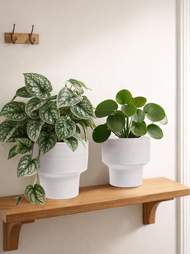 INGOFIN Ceramic Planter Pot Set of 3, 4/5/6 Inch Indoor Decorative Cachepot for Pothos & Succulents, No Drainage Hole, Modern Architectural Plant Display for Contemporary Home Decor, Pockmarks White