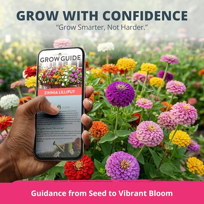 HOME GROWN Zinnia Lilliput Mix Flower Seeds for Planting Spring 2026 – 2500 Seeds (2g) Zinnia elegans – Colorful Zinnia Seed Mix for Garden Beds, Containers & Cut Flowers, Easy Grow Zinnia Seeds