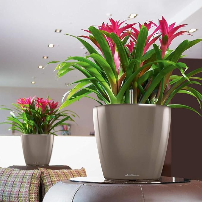 Lechuza Classico LS 35 Shiny Taupe High Gloss, Self-Watering Round Planter, D13.8 H13 in