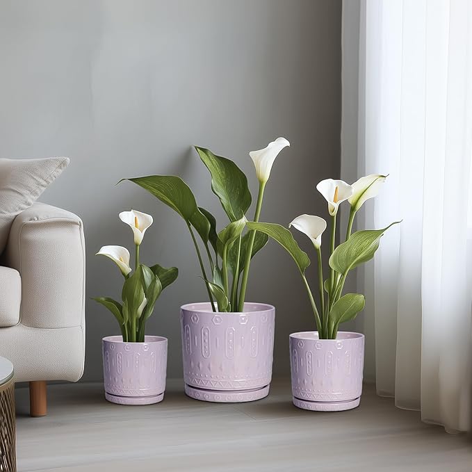 Eightpot Ceramic Flower Pots, 8 Inch Plant Pots Indoor Outdoor, Round Planter with Drainage Hole and Tray, Boho Planter, Decorative Pot for Plants, Apartment Decor, House Warming Gifts, Purple
