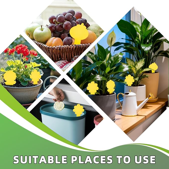 Sticky Yellow Fungus Gnat Traps, Easier to Use, No Touching Glue Or Bugs, Targets Species for Gnat, Fruit Fly & Pests, Three Thoughtful Designed, High Capture Rate, Kid & Pet Safe, 99 Traps
