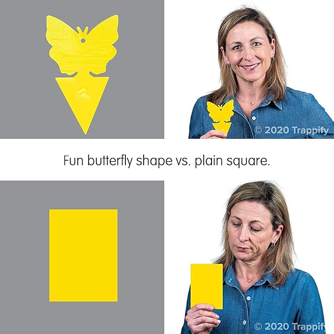 Trappify Sticky Gnat Traps for House Indoor - Yellow Fruit Fly Traps for Indoors | Outdoor Plants | Insect Catcher for White Flies, Mosquitos, Fungus Gnats | Disposable Glue Fly Trap Indoor (12 Pack)