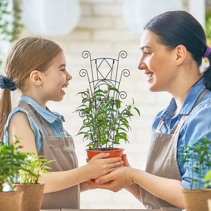 Yhtpouqe Stackable Plant Support Stakes, 2 Pack Metal Twig Plants Trellis for Indoor and Outdoor Use, Garden Accessories for House Potted Flower Monstera Trumpets 15.35 inch