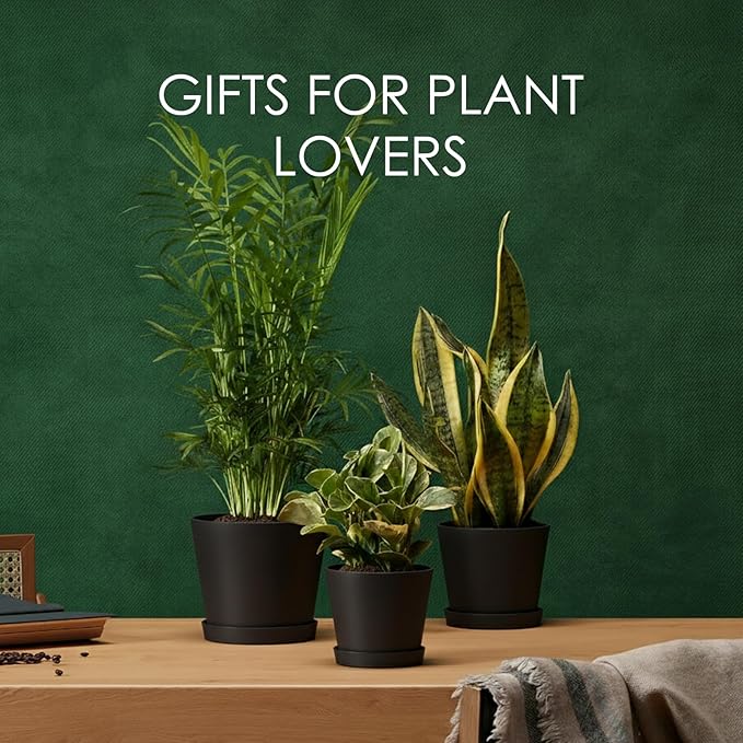 Bamworld 3 Pack Plastic Plant Pots with Drainage Holes and Saucers 6/7/8 Inch 5mm Thick Modern Decorative Flower Pots for Indoor Outdoor Plants Black