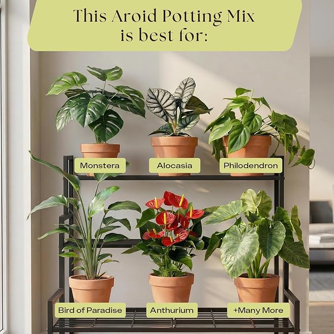 Rosy Soil Aroid Soil Potting Mix - Peat-Free, Microbially Active Biochar Powered Soil for Aroids - Superior Aeration & Drainage for Aroid Plants - Ideal for Indoor Gardening - 4 Quarts