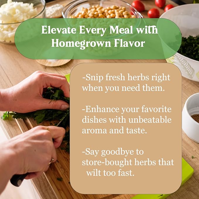 Indoor Herb Garden Kit, 9 Non-GMO Seeds with Reusable Pots, Planter – DIY Grow Kits for Growing Herbs Indoors, Kitchen, Balcony, Window Sill with 27 Soil