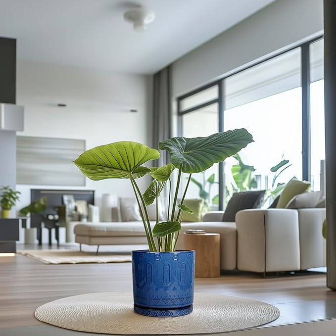 Eightpot 12 Inch Pot for Plants - Ceramic Planter for Indoor Plants Large Plant Pot with Drainage Holes and Saucer Outdoor Flower Pot Decorative Round Planter for Porch Office Decor Blue
