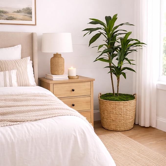 Nearly Natural 48in Artificial Dracaena with Real Touch Leaves and Multi Tonal Trunks, Large Indoor Silk Plant with Pot, Maintenance Free For Living Room And Home Office Decor