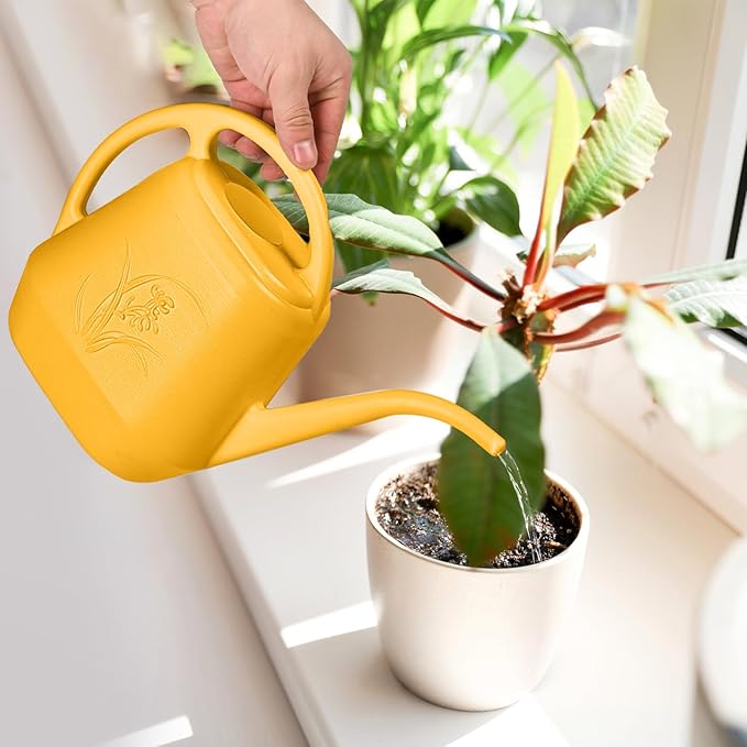 Plastic Watering Can - for Indoor and Outdoor Plant - 1/2 Gallon - Orange