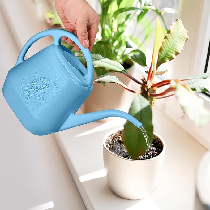 ZXJ Plant Watering Can - for Indoor and Outdoor Home Garden Plants - with Long Spout - Skye Blue - 1/2 Gallon