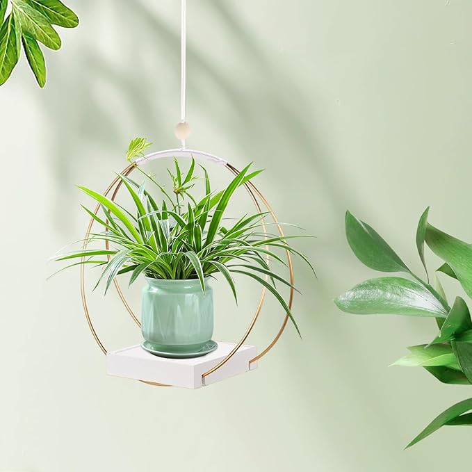 hismocal Hanging Planters for Indoor Plants, Plant Hanger with Sturdy Wood Base,Modern Boho Macrame Plant Hanger,Wall Ceiling Window Stands(Plants/Pots Not Included)
