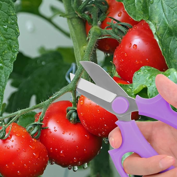Housolution Flower Scissors, Strong Floral Shears, Premium Steel Garden Pruning Shears Floral Fruits Leaf Scissors Hand Pruner Snip Trimming Tool for Gardening Flower Arrangement, Purple