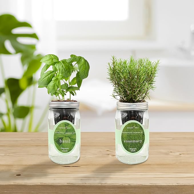 2-Pack Hydroponic Mason Jar Herb Garden Kit, Indoor Herb Garden Self-Watering Starter Kit, New Christmas Gift for Mom (Cilantro,Mint)