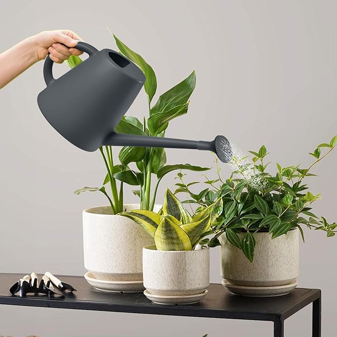 Indoor and Outdoor Watering Can - Long Spout -1/2 Gallon (64oz) - Grey