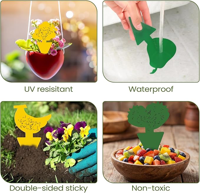 Qualirey 200 Sheets Fruit Fly Sticky Traps for Fruit Fly Gnat Trap for House Indoors Sticky Traps Catcher for Gnats Fungus Gnats Mosquito Catcher for Kitchen Outdoor Plants (Cute Style, Yellow, Green)
