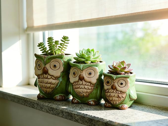 Cute Owl Planter, Small Funny Succulent Pots, Unique Decorative Animal Statue Ceramics Plant Pot for Indoor/Outdoor Home Office with Drainage, Owl Gifts for Women Mother Teacher, Three Owls