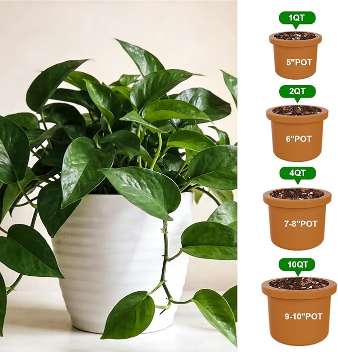 Pothos Potting Soil -Pure Natural Organic Soil 10qt, Well-Draining and Aerated for Healthy Indoor Plants