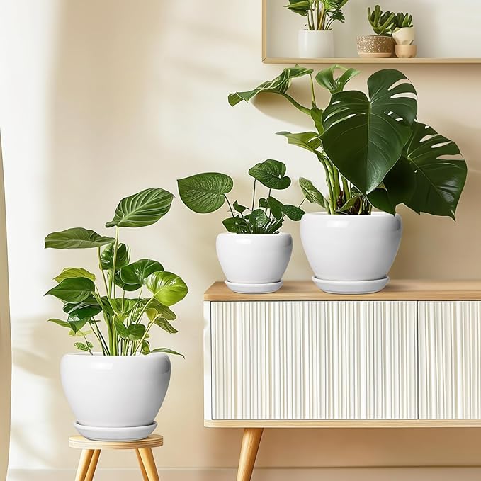 Ceramicfor Ceramic Pot for Plants - 6 Inch Plant Pot for Succulent Plants, Glaze Modern Round Planter with Drainage Hole and Saucer, Gifts for Plant Lovers, Home Office Patio Room Decor, White
