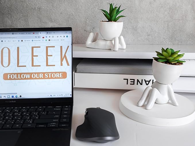 Small Fake Plant Office Decor for Women - Desk Decorations - Cute Office Decor - Office Plants Decor for Wall Shelf - Succulents Fake Plants Home Decor - Office Desk Accessories