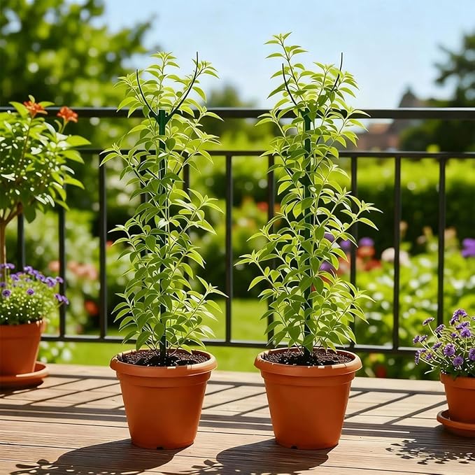 Plant Stakes for Indoor Plants, 5 Packs Stackable Monstera Plant Support, Plant Sticks Support Tall, Garden Accessories