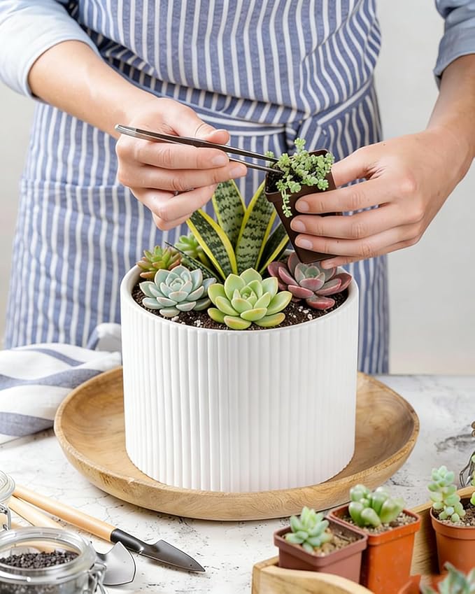 Ceramic Plant Pots, 8.1 + 6 Inch Planters for Indoor Plants, Modern Flower Pots for Plants with Drainage, Medium Cylinder Flower Pots for Indoor Plants, House Plants, Matte White